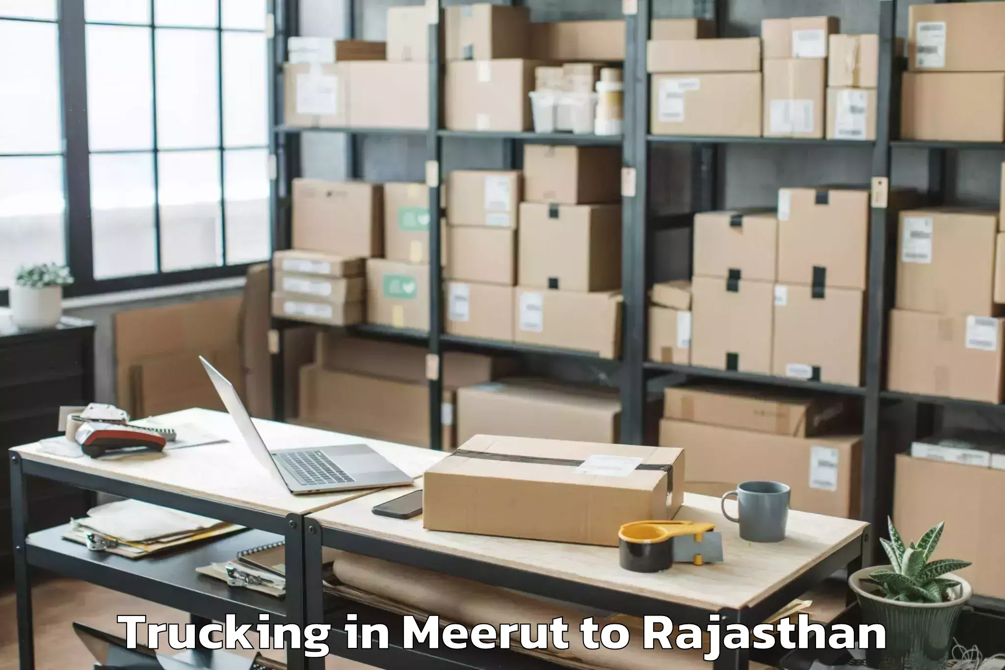 Meerut to Ghatol Trucking Booking